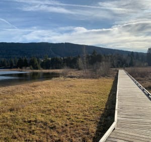 Jusqu’au lac des Rousses - Les Rousses - 5