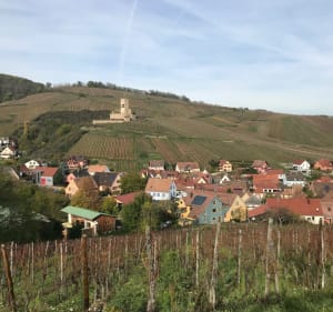 De Katzenthal au Galtz par chemins et sentiers - Katzenthal - 3