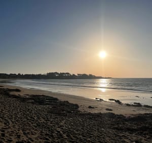 Autour de l'Anse de Kerdual - La Trinité-sur-Mer - 5
