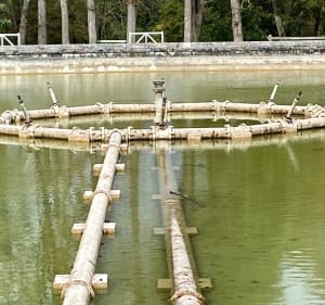 Le long du système hydraulique du Parc de Saint-Cloud - Jean-luc - 5