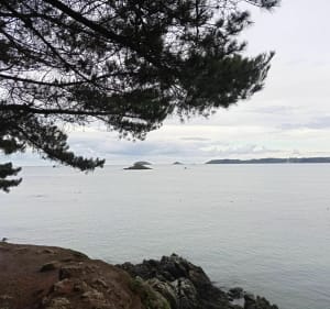 Le tour de la pointe de Guilben depuis Paimpol - Paimpol - 4