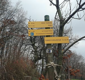 Entre les bois et les champs - Pisieu - 4