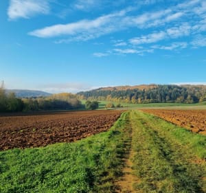 VTT avec dénivelé et beau paysage à Haraucourt - Haraucourt - 3