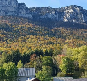 Ondergroei en panorama bij Sainte-Marie-du-Mont - Sainte-Marie-du-Mont - 4
