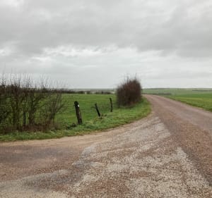 Boucle Contrex-Dombrot - Contrexéville - 3