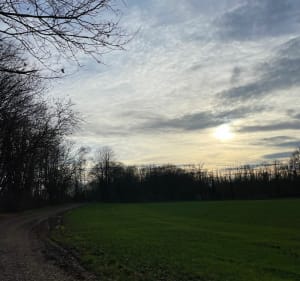 Balade dans les champs à Lingolsheim - Lingolsheim - 3