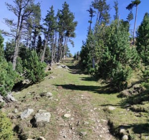 Chemin des Iglesiettes, aux Angles - Les Angles - 3