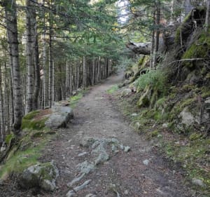 Chemin des Iglesiettes, aux Angles - Les Angles - 4