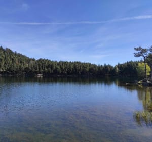 Chemin des Iglesiettes, aux Angles - Les Angles - 5