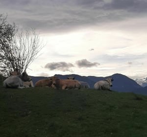 Igon, lac de Sarguaillouse et crêtes de Coarraze. - Igon - 5