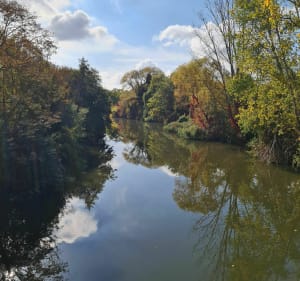 Metz/Canal de Jouy - Metz - 3