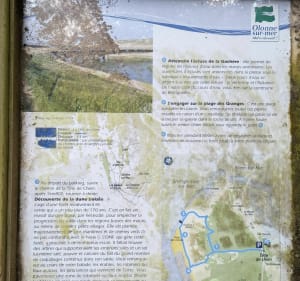Vers l'écluse et plages des Granges à travers la forêt - Les Sables-d'Olonne - 3