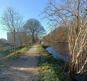 Boucle autour du canal de la Moselle - Moulins-lès-Metz - 4