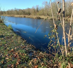 Boucle autour du canal de la Moselle - Moulins-lès-Metz - 5