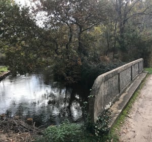 Rando de la Fontaine Saint-Jean-Baptiste - Pontenx-les-Forges - 4