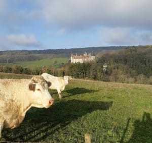 Chateau de la Rochepot depuis Saint Aubin - Saint-Aubin - 8