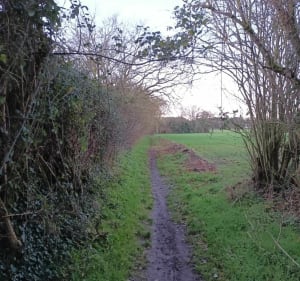 La boucle verte d'HERSIN-COUPIGNY - MICHEL - 3