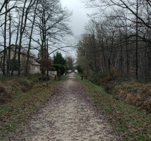 Balade en forêt notre dame en partant du poney club - Sucy-en-Brie - 4