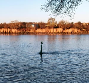 Promenade à la roche-ballue - Bouguenais - 3