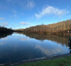 Wandelen rond de vijvers van La Minière in Guyancourt - Guyancourt - 3