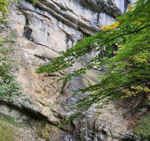 Cascade du Bief de la Ruine, par les Gorges de Malvaux - Les Planches-en-Montagne - 4