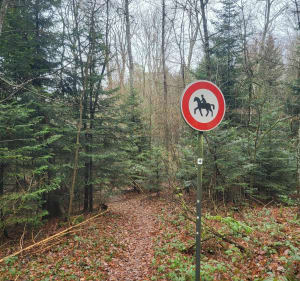 Circuit Parcours Santé en Forêt de Soultz - Jungholtz - 5