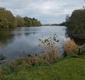 Grand tour du Lac de Sagnat par le village de La Forge - Bessines-sur-Gartempe - 5