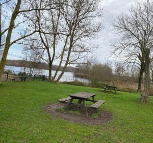 Chabaud-Latour : étangs, chevalet et ascension du terril - Condé-sur-l'Escaut - 3