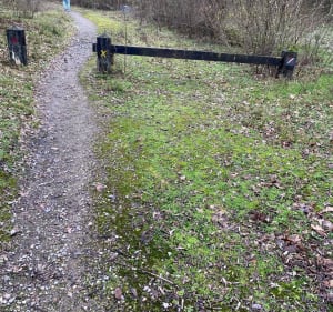 Chabaud-Latour : étangs, chevalet et ascension du terril - Condé-sur-l'Escaut - 5