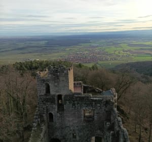 Château du Bernstein - Saint Pierre des Bois - 3
