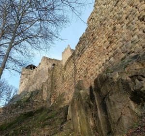 Château du Bernstein - Saint Pierre des Bois - 4