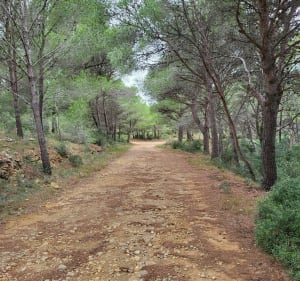 Le trou de Marrou - Gruissan - 3