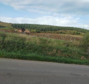 Tour de la Roche de Vergisson depuis Mâcon - Mâcon - 5