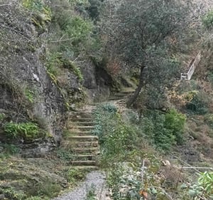 Lastours et son Belvédère - Lastours - 3