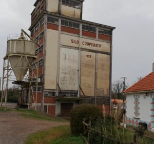 Balade à Saint Maixent sur Vie - Saint-Maixent-sur-Vie - 3