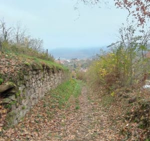 Boucle depuis Osenbach - Decathlon - 4