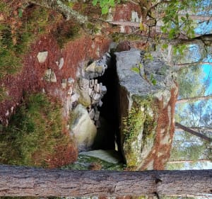 A la recherche des abris de Carriers - Fontainebleau - 3
