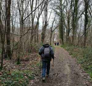 Randonnée avec les amis de la nature Monéteau, dans la forêt du Tureau du Bar - Monéteau - 3