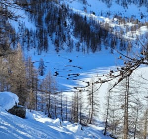 Sneeuwschoenwandelen bij Lac d'Allos - Allos - 3