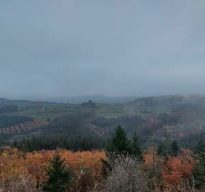 De Matour à la Grande Roche via la garenne d'en bas - Matour - 4