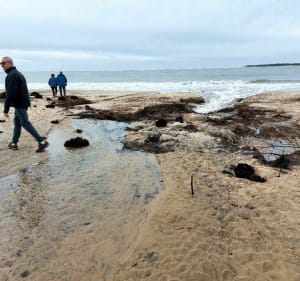 Wandel naar de Gallon d'Or en het Spaanse Punt - La Tremblade - 3