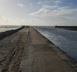 Entre mer et rivière à Saint-Gilles-Croix-de-Vie - Saint-Gilles-Croix-de-Vie - 5