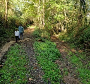 Promenade en bois de Coudane, lac et bois du bas de Bernadin - Nassiet - 4