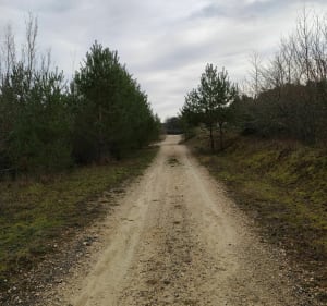 Eyliac par les hauts de la Peyrade - Bassillac et Auberoche - 4