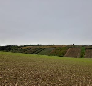 Les Trois Clochers - Jussy - 4
