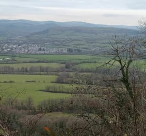 Du Causse de Recoules au bois de Prévinquières - Sévérac-d'Aveyron - 4