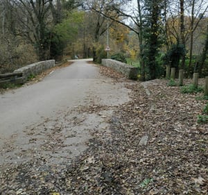 De Saint-Blaise au Bois de Serre, le long du Ruisseau des Planches - Écully - 3