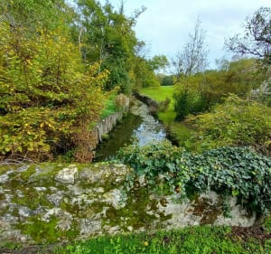 Balade dans la nature de la Membrolle sur Choisille - La Membrolle-sur-Choisille - 5