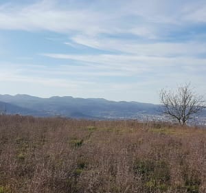 Montée du plateau de Gergovie - Pérignat-lès-Sarliève - 5