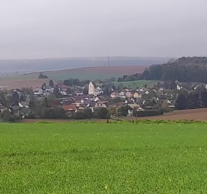Aspach-Illfurth par le circuit de 14/18 - Decathlon - 3
